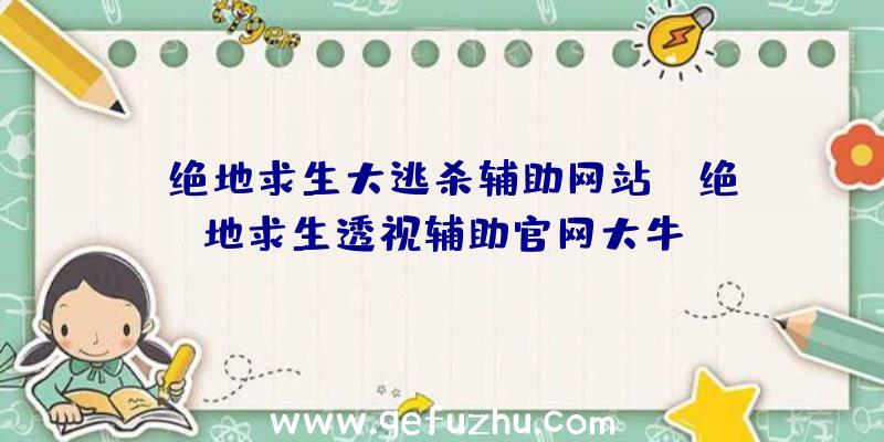 「绝地求生大逃杀辅助网站」|绝地求生透视辅助官网大牛